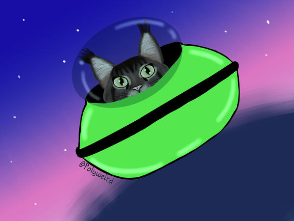 Space Cat